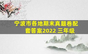 宁波市各地期末真题卷配套答案2022 三年级